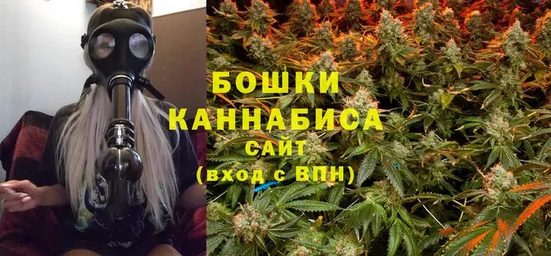 Бошки марихуана OG Kush  цены наркотик  Всеволожск 